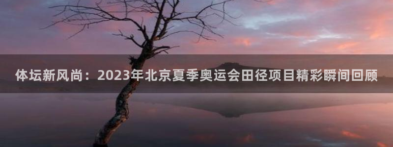 体坛新风尚：2023年北京夏季奥运会田径项目精彩瞬间回顾