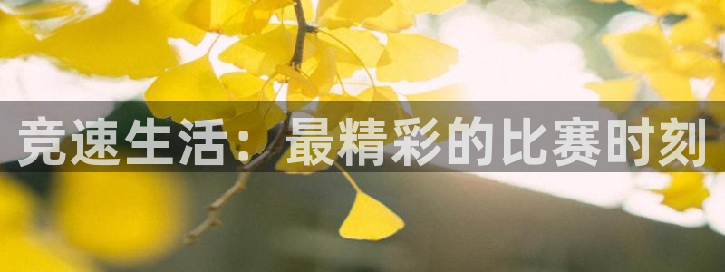 竞速生活：最精彩的比赛时刻