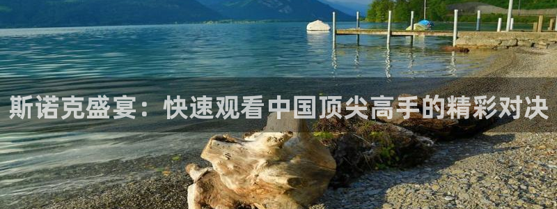 斯诺克盛宴：快速观看中国顶尖高手的精彩对决