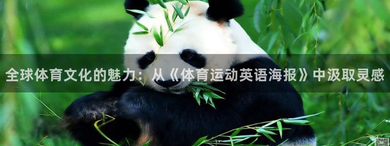 全球体育文化的魅力：从《体育运动英语海报》中汲取灵感