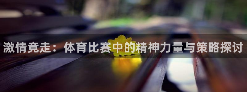 激情竞走：体育比赛中的精神力量与策略探讨