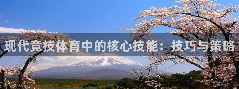 现代竞技体育中的核心技能：技巧与策略