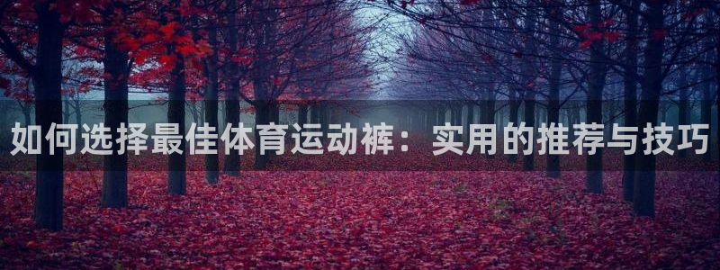 如何选择最佳体育运动裤：实用的推荐与技巧