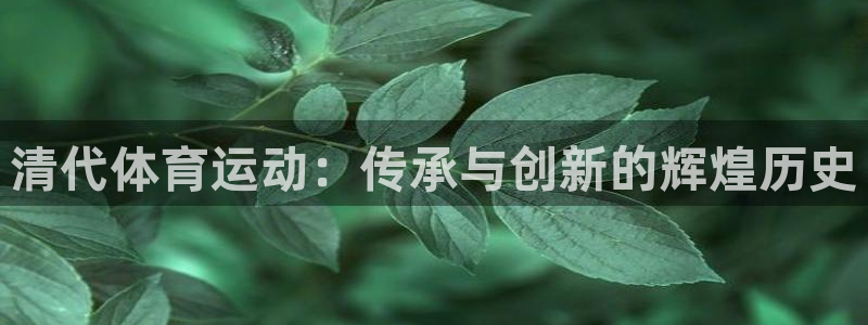 清代体育运动：传承与创新的辉煌历史