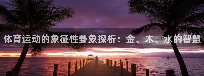 体育运动的象征性卦象探析：金、木、水的智慧