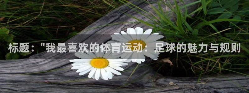 标题：\