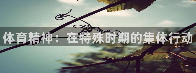 体育精神：在特殊时期的集体行动