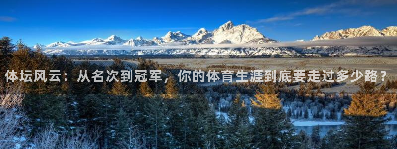 体坛风云：从名次到冠军，你的体育生涯到底要走过多少路？