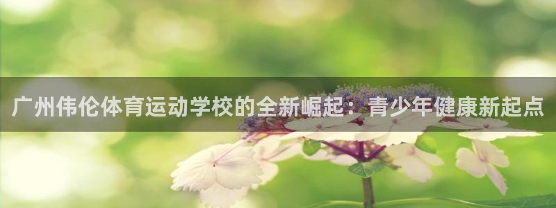 广州伟伦体育运动学校的全新崛起：青少年健康新起点