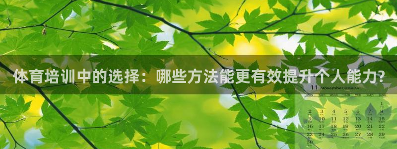 体育培训中的选择：哪些方法能更有效提升个人能力?