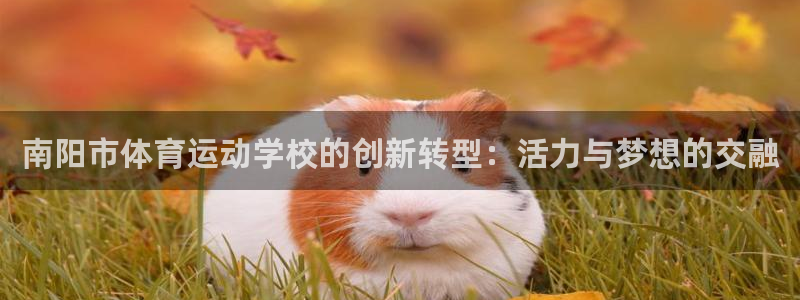 南阳市体育运动学校的创新转型：活力与梦想的交融