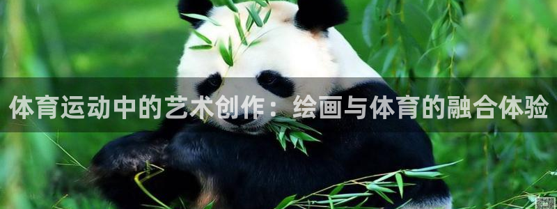体育运动中的艺术创作：绘画与体育的融合体验