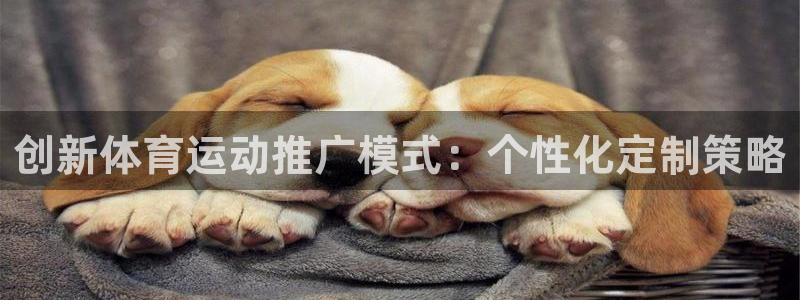 创新体育运动推广模式：个性化定制策略