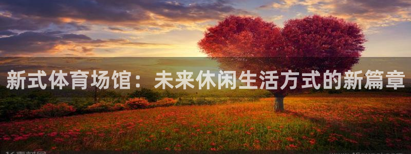 新式体育场馆：未来休闲生活方式的新篇章
