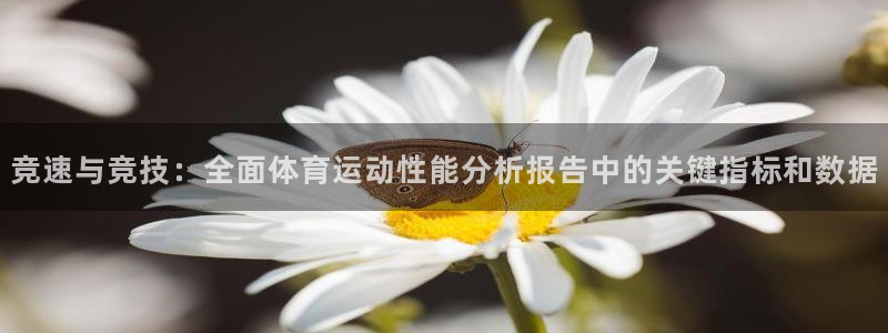 竞速与竞技：全面体育运动性能分析报告中的关键指标和数据