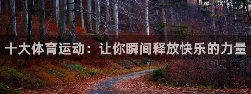 十大体育运动：让你瞬间释放快乐的力量