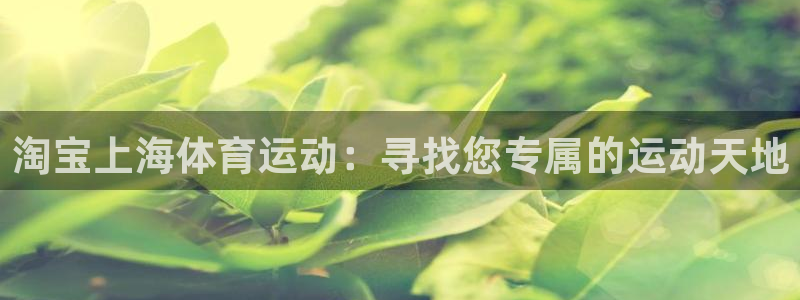 淘宝上海体育运动：寻找您专属的运动天地