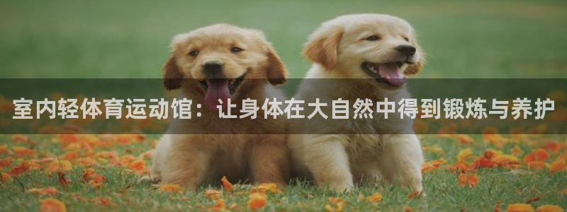 室内轻体育运动馆：让身体在大自然中得到锻炼与养护