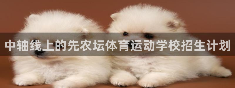 中轴线上的先农坛体育运动学校招生计划
