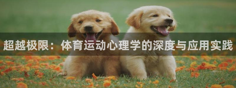 超越极限：体育运动心理学的深度与应用实践