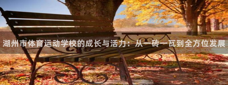 湖州市体育运动学校的成长与活力：从一砖一瓦到全方位发展