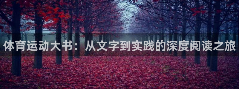 体育运动大书：从文字到实践的深度阅读之旅