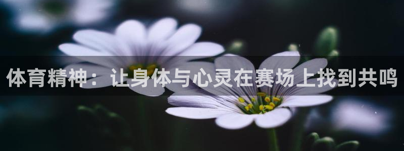 体育精神：让身体与心灵在赛场上找到共鸣