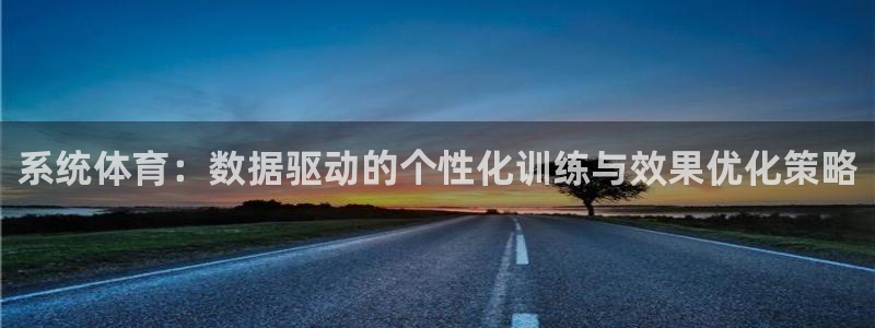 系统体育：数据驱动的个性化训练与效果优化策略