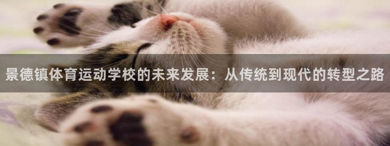 景德镇体育运动学校的未来发展：从传统到现代的转型之路