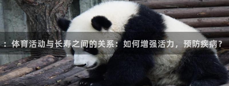 ：体育活动与长寿之间的关系：如何增强活力，预防疾病？
