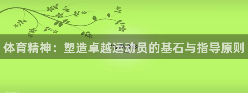 体育精神：塑造卓越运动员的基石与指导原则