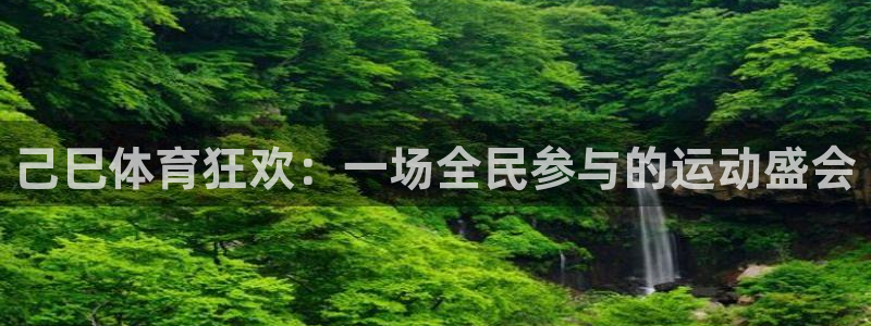 己巳体育狂欢：一场全民参与的运动盛会