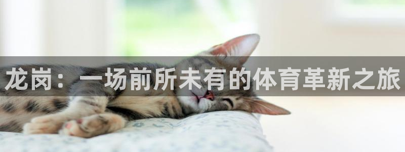 龙岗：一场前所未有的体育革新之旅
