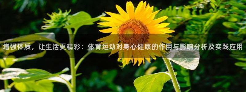 增强体质，让生活更精彩：体育运动对身心健康的作用与影响分析及实践应用