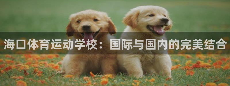 海口体育运动学校：国际与国内的完美结合