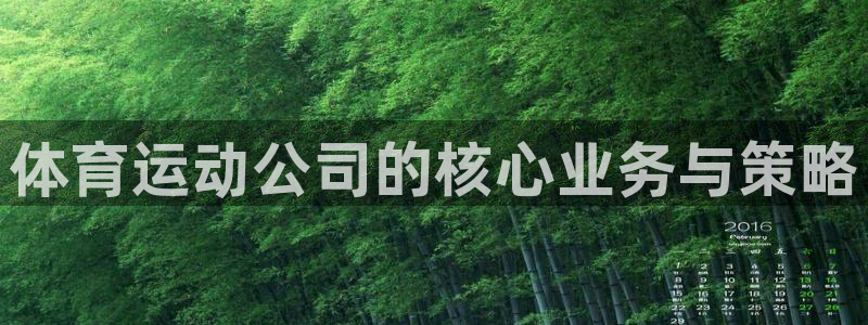 体育运动公司的核心业务与策略
