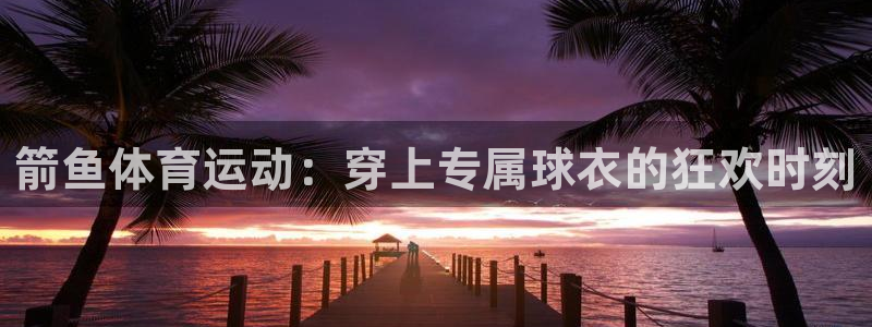 箭鱼体育运动：穿上专属球衣的狂欢时刻