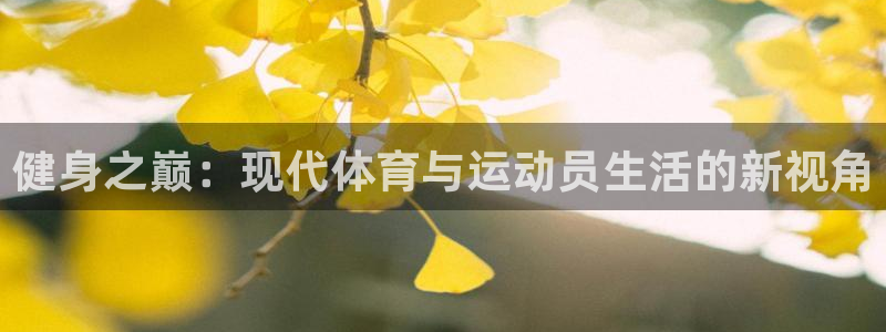 健身之巅：现代体育与运动员生活的新视角
