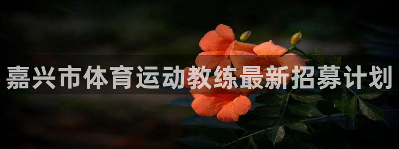 嘉兴市体育运动教练最新招募计划