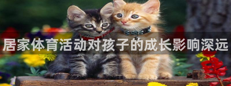 居家体育活动对孩子的成长影响深远