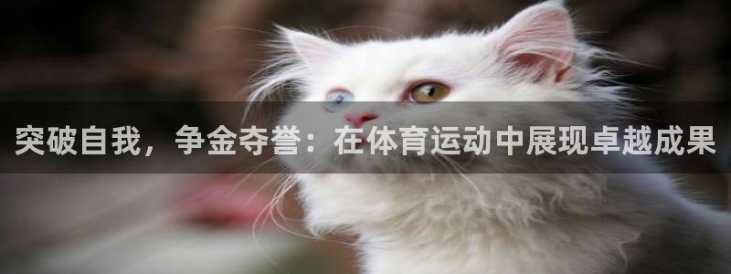 突破自我，争金夺誉：在体育运动中展现卓越成果