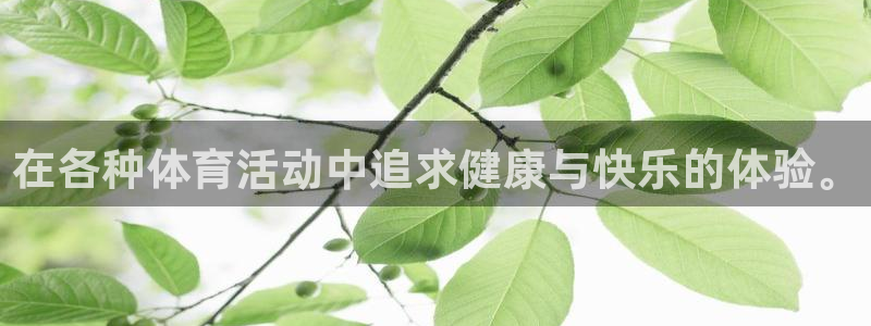 在各种体育活动中追求健康与快乐的体验。