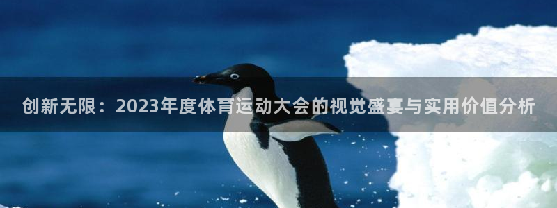 创新无限：2023年度体育运动大会的视觉盛宴与实用价值分析