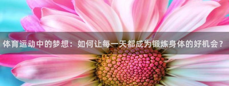 体育运动中的梦想：如何让每一天都成为锻炼身体的好机会？