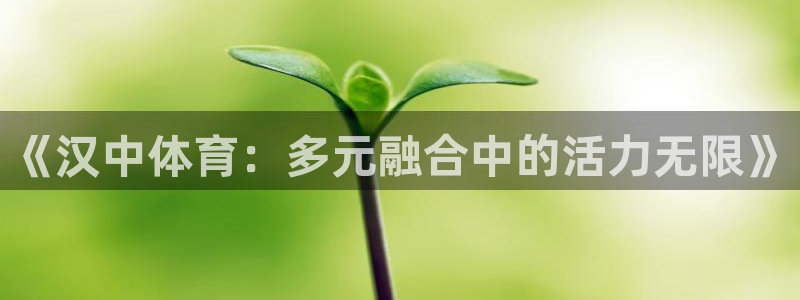《汉中体育：多元融合中的活力无限》