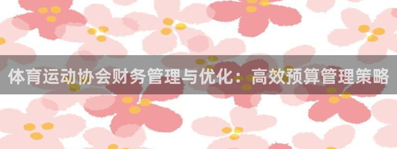 体育运动协会财务管理与优化：高效预算管理策略