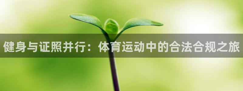健身与证照并行：体育运动中的合法合规之旅