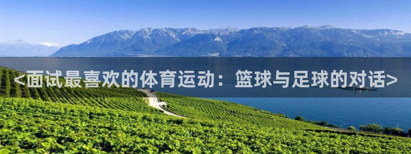 <面试最喜欢的体育运动：篮球与足球的对话>