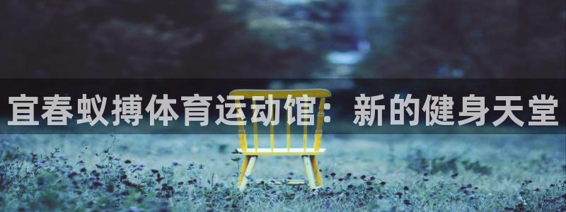 宜春蚁搏体育运动馆：新的健身天堂